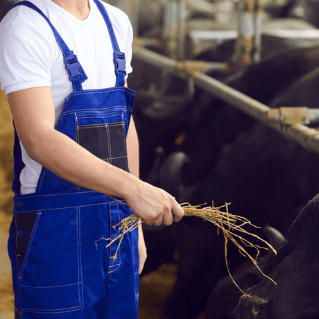 CARNE E INQUINAMENTO? - CORTE PREZIOSA