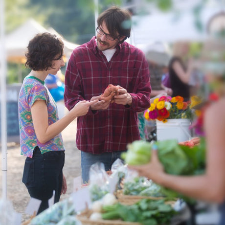 LA BELLEZZA DEL MERCATO CONTADINO - CORTE PREZIOSA