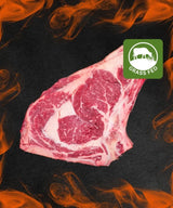 Box grill small - CORTE PREZIOSA