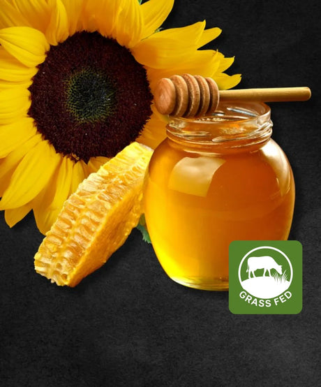 Miele Di Girasole - CORTE PREZIOSA